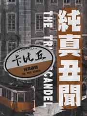 纯真丑闻小说简介